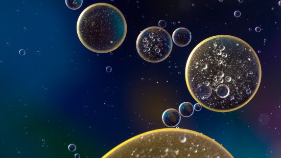 Olio e scienza: 5 curiosità che non conoscevi sull'olio d'oliva